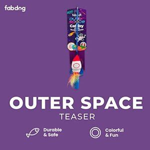 Fabdog Outer Space Cat Toy Teaser Wand With Rocket Design